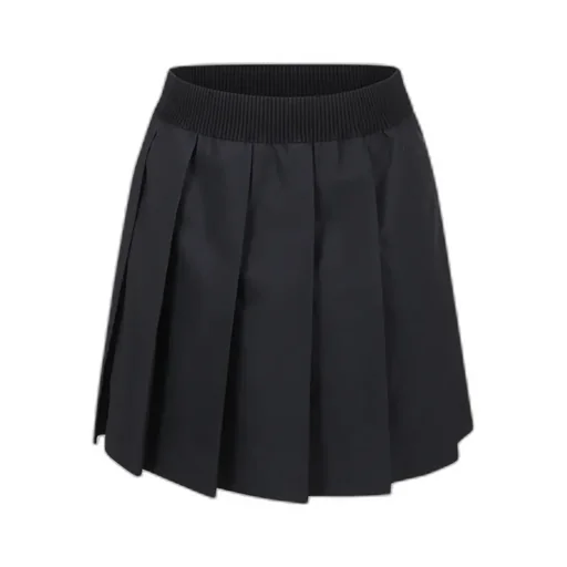Pleated Elastic Waistband Skirt