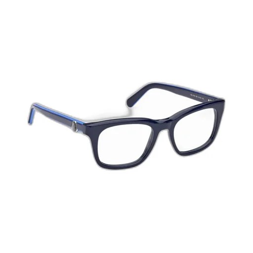 Wayfarer Frame Glasses