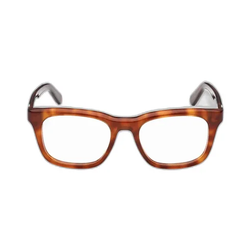 Wayfarer Frame Glasses