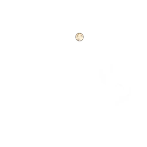 Pocket T-Shirt