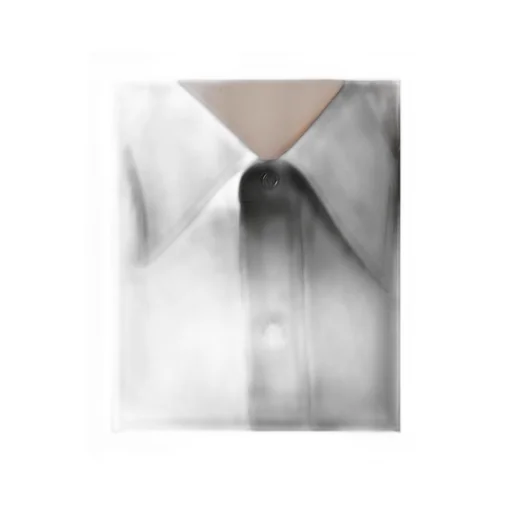 Long-Sleeved Belted Shirt