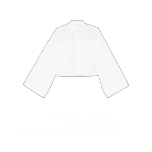Wide Sleeved Cropped Shirt