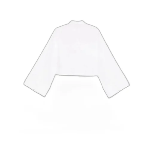 Wide Sleeved Cropped Shirt