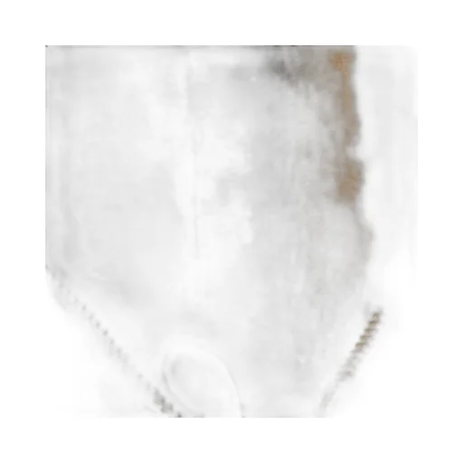 Wander Shearling Bag