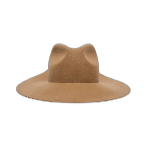 Wool Felt Hat