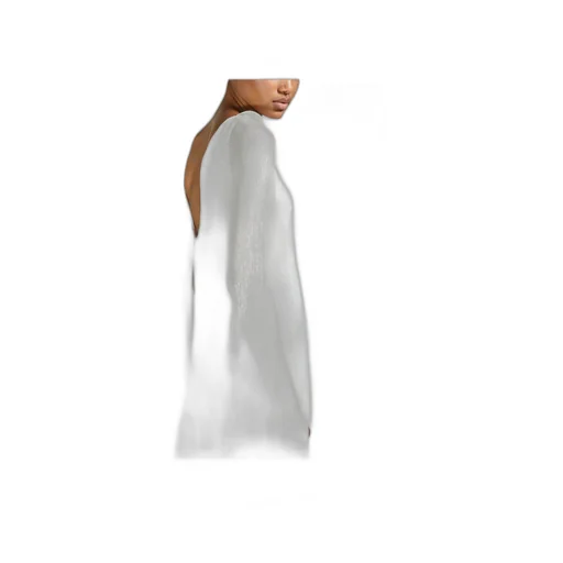 Long Cape Silk Dress