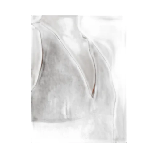 Armida V-Neck Sleeveless Top