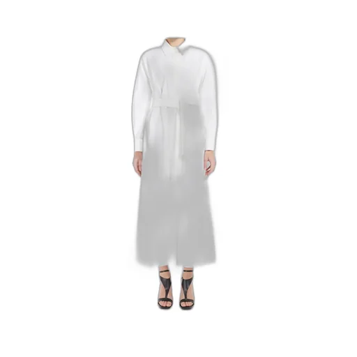 Belted Long-Sleeved Shirt Dress