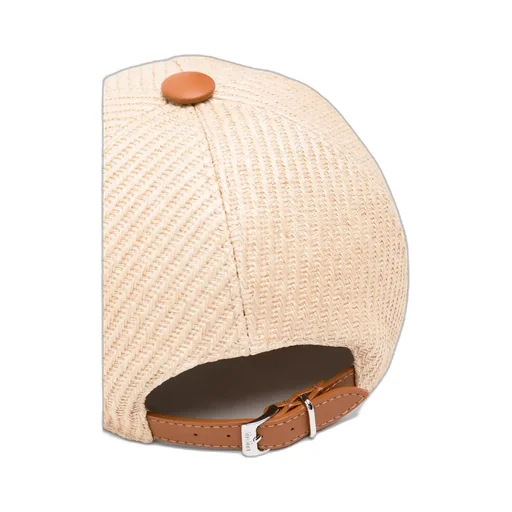 Baseball Dome