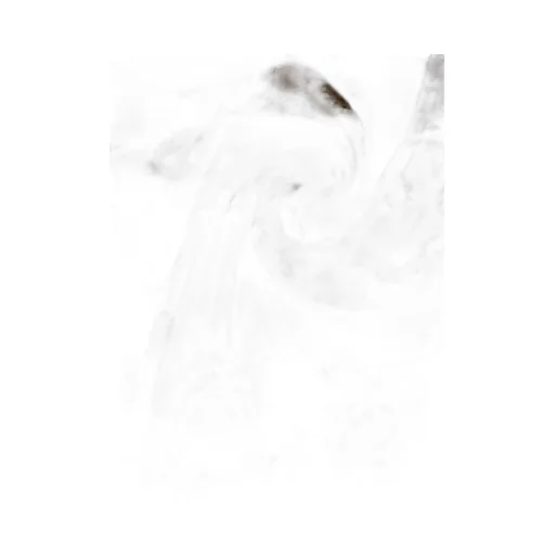 Printed Silk Scarf