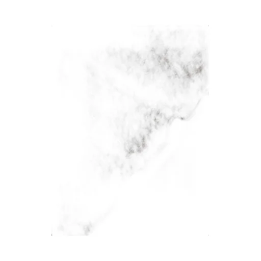 Logo Embroidered Fringed Scarf