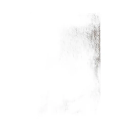 Logo Embroidered Fringed Scarf
