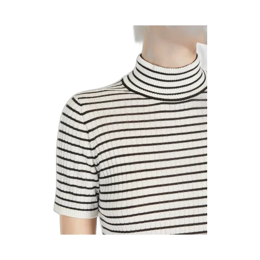 Striped Turtleneck Knit Top