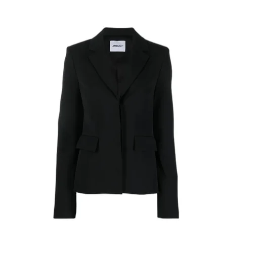 Single Breasted V-Neck Blazer