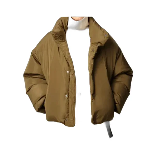 Long Sleeve Down Jacket