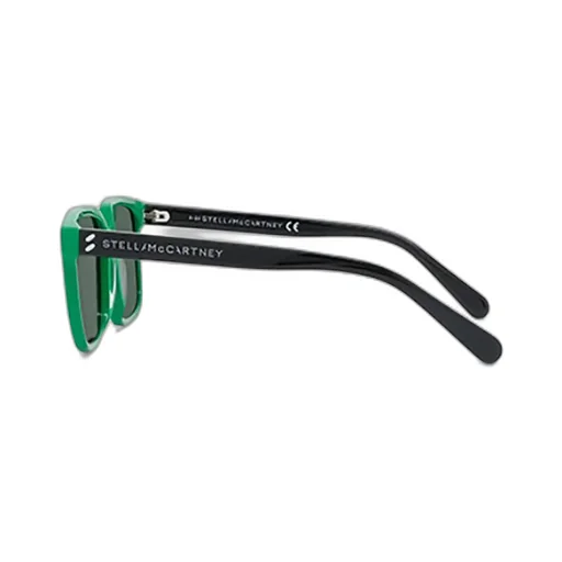 Square Frame Sunglasses