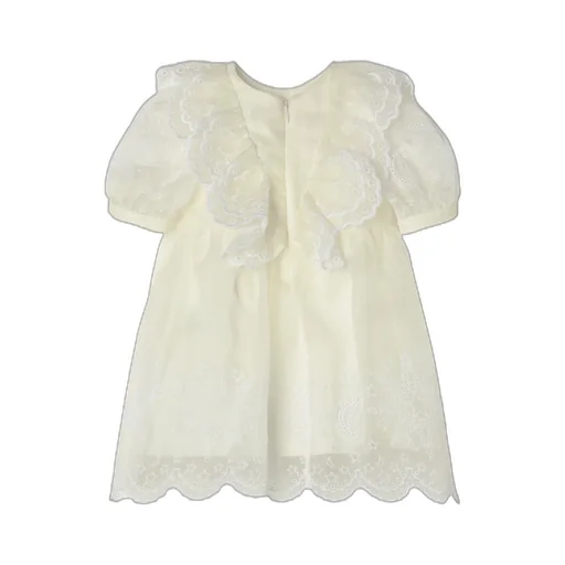 Embroidered Dress