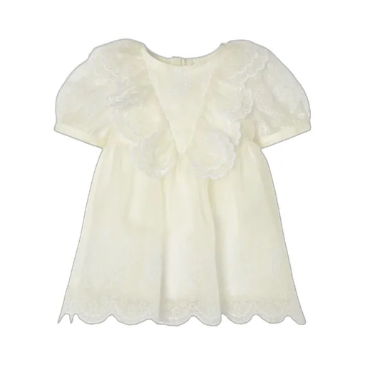 Embroidered Dress