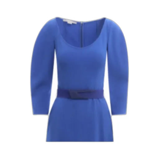 Belt Flared Mini Dress