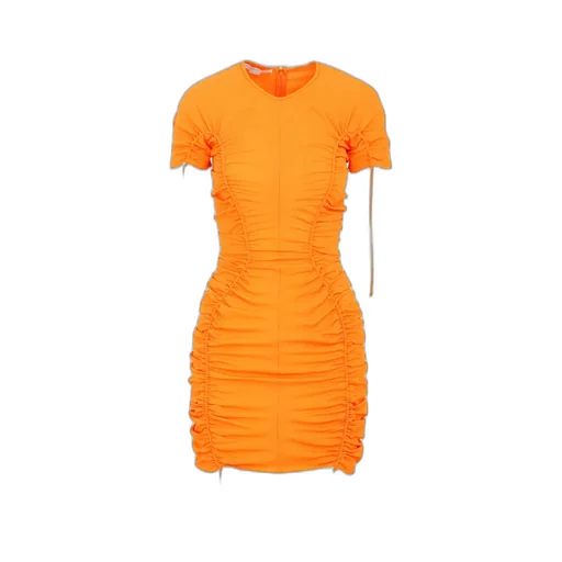 Ruched Fitted Dress