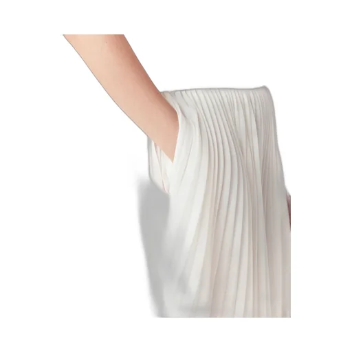 Pleated Skirt