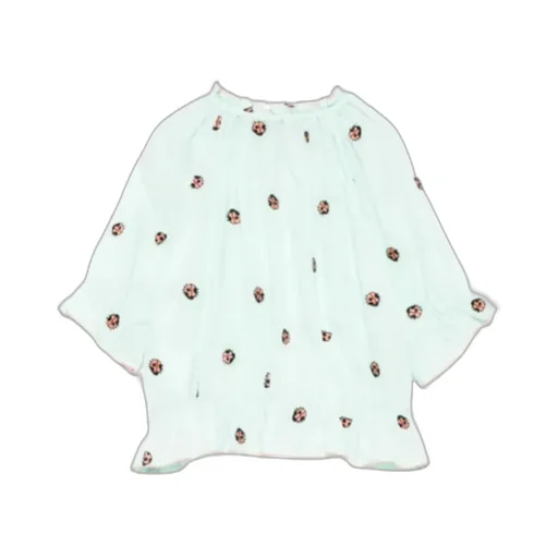 Embroidered Blouse