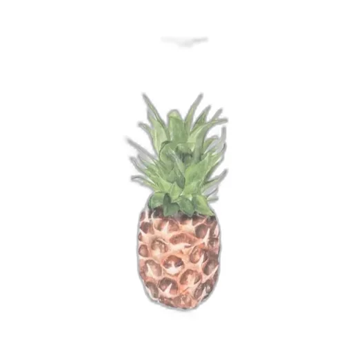Pineapple Print T-Shirt