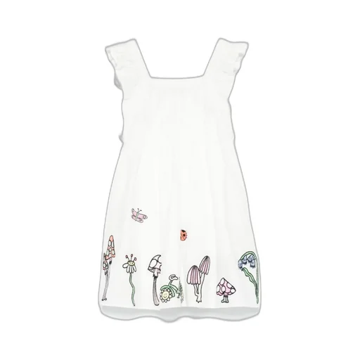 Embroidered Dress