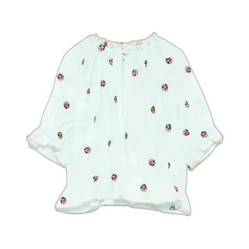 Embroidered Blouse
