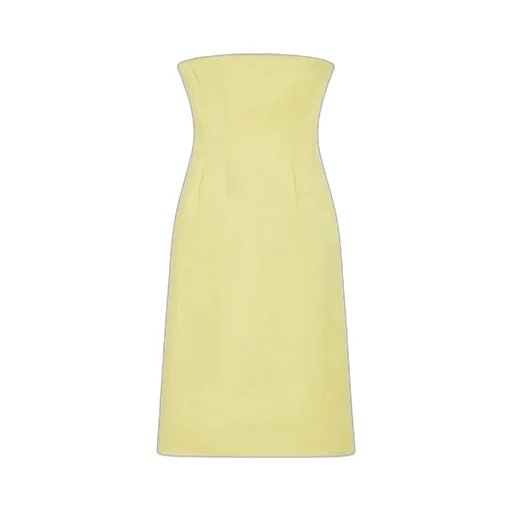 Zip Detailed Strapless Dress