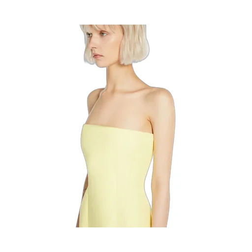 Zip Detailed Strapless Dress