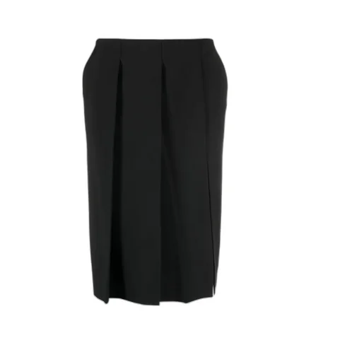 Pleated Virgin Wool Skirt
