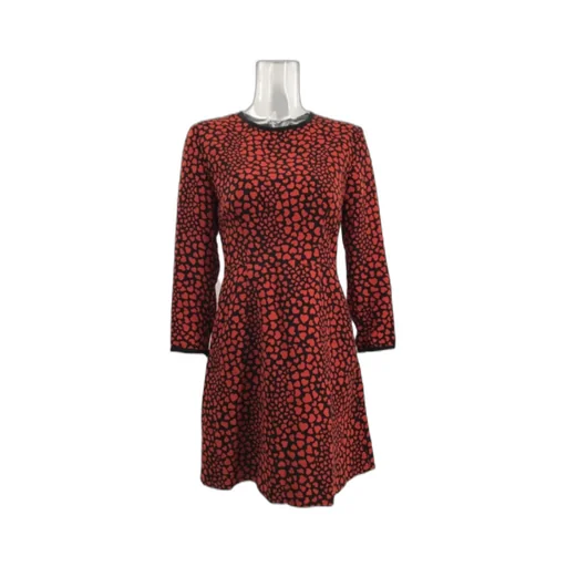 Long Sleeved Dress