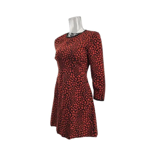 Long Sleeved Dress