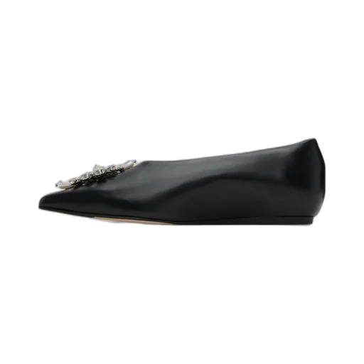 Embellished Pointed Toe Ballerina Flats