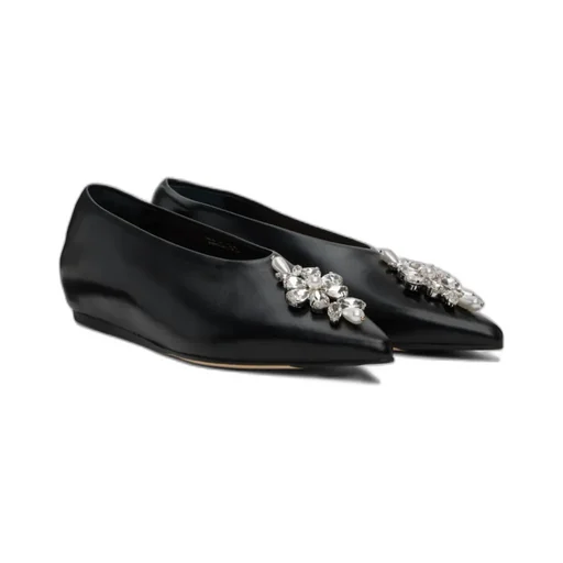 Embellished Pointed Toe Ballerina Flats