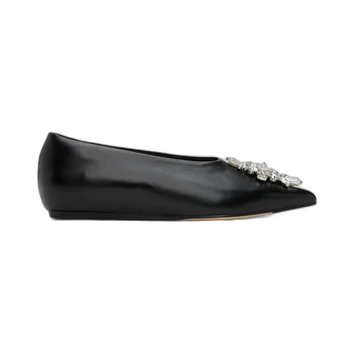 Embellished Pointed Toe Ballerina Flats