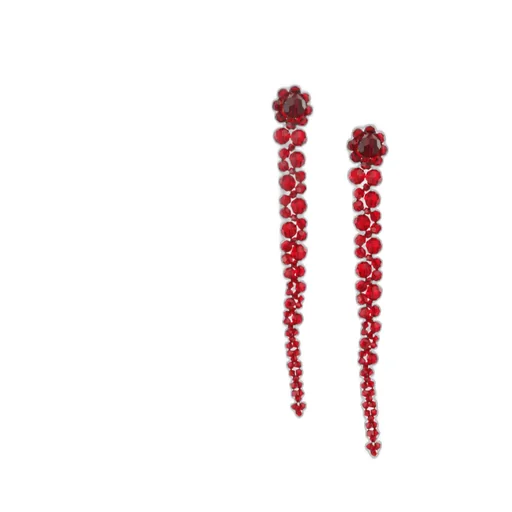 Drop Embellished Earrings