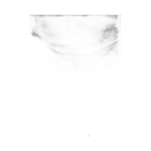 Gaia Gathered Top