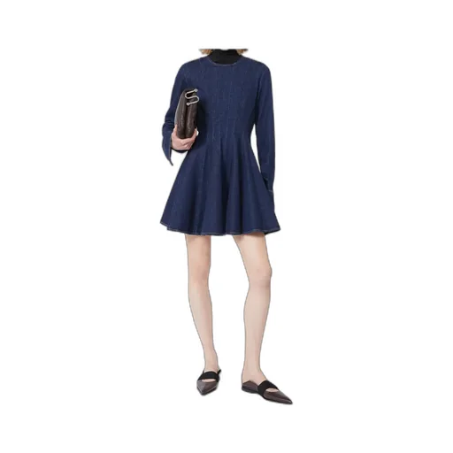 Aereo Mini Denim Dress