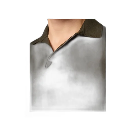 Long-Sleeved Polo Shirt