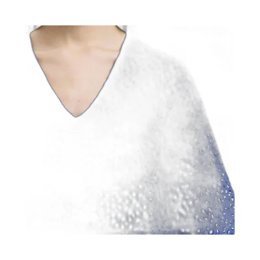 Eyelet V-Neck Top
