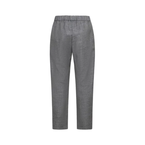 Tapered Virgin Wool Pants