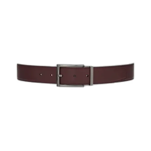 Reversible And Adjustable Belt