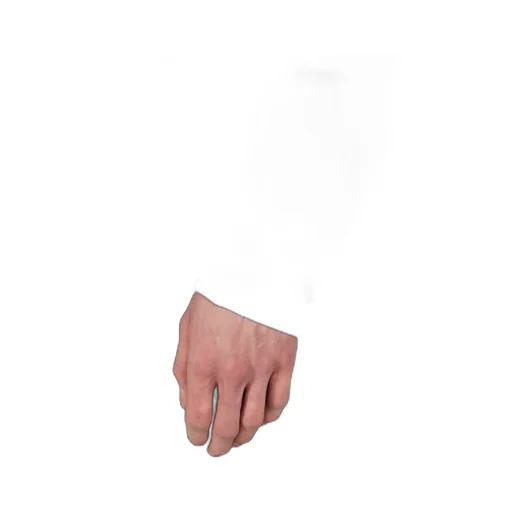 Tuxedo Shirt