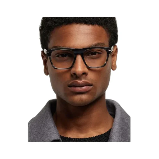 Optical Glasses
