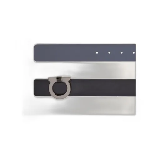 Reversible And Adjustable Belt