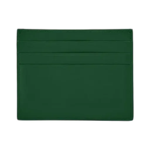 Credit Card Holder