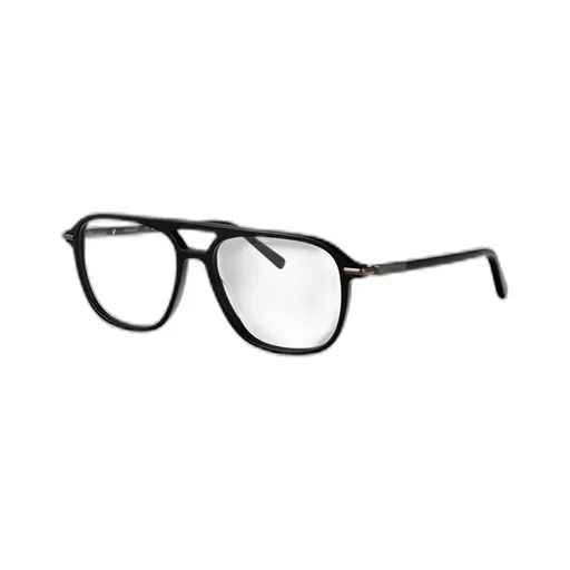 Double-Bridge Glasses