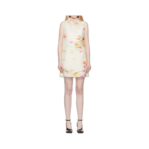 Sleeveless Dress